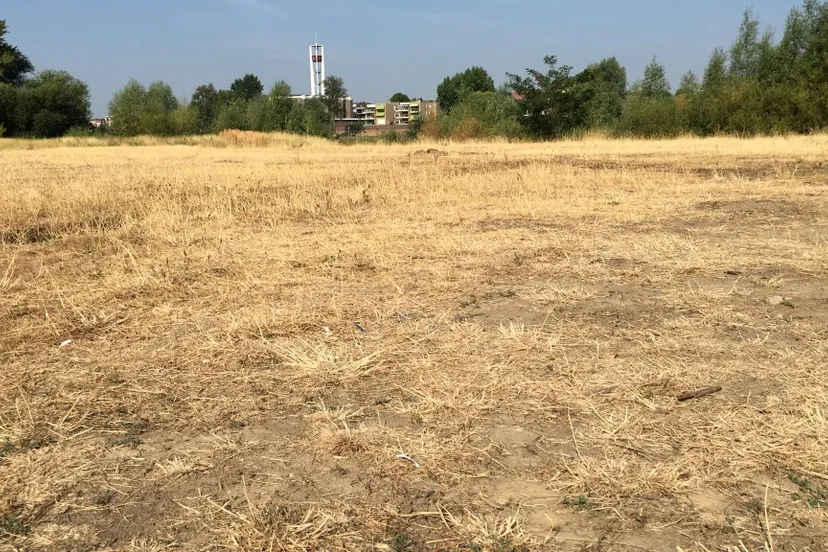 245 droogte