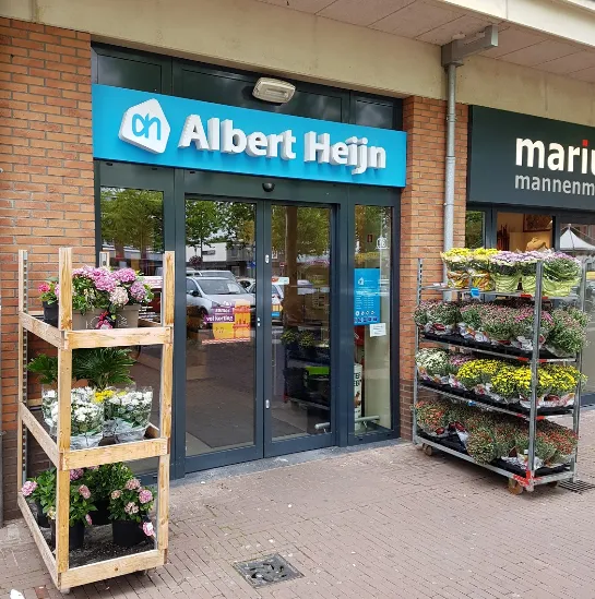 albert heijn panningen