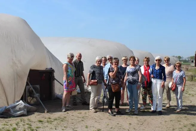 aspergegilde
