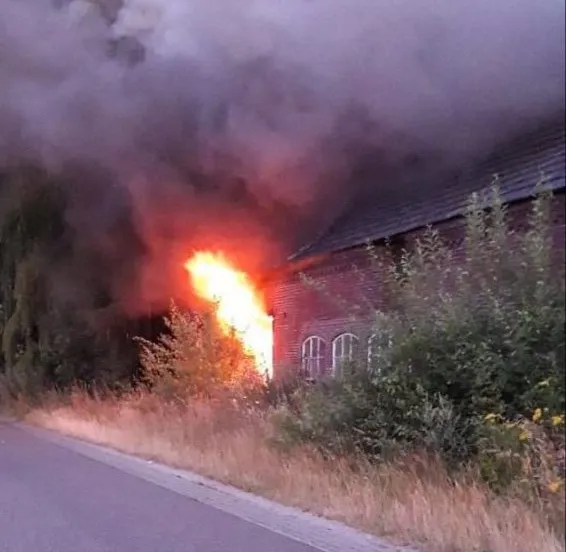 brand zelen e1563267682406