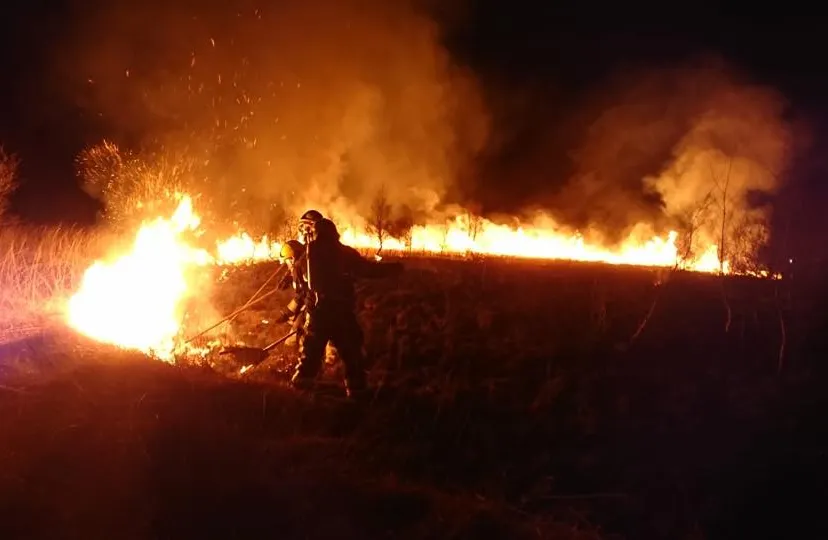 brandweer meijel peelbrand