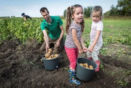dingena mol beste plattelandsfotoweb