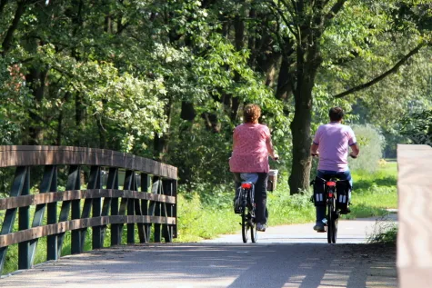 fietsen zomer web