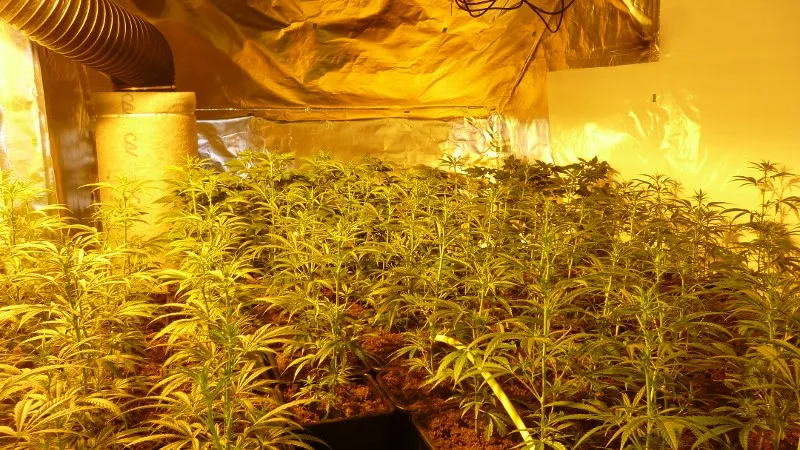 hennep1 drugs politie
