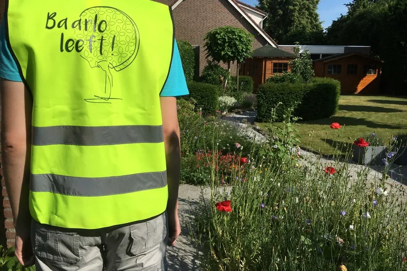 hesje baarlo steengoed achter e1528442254423