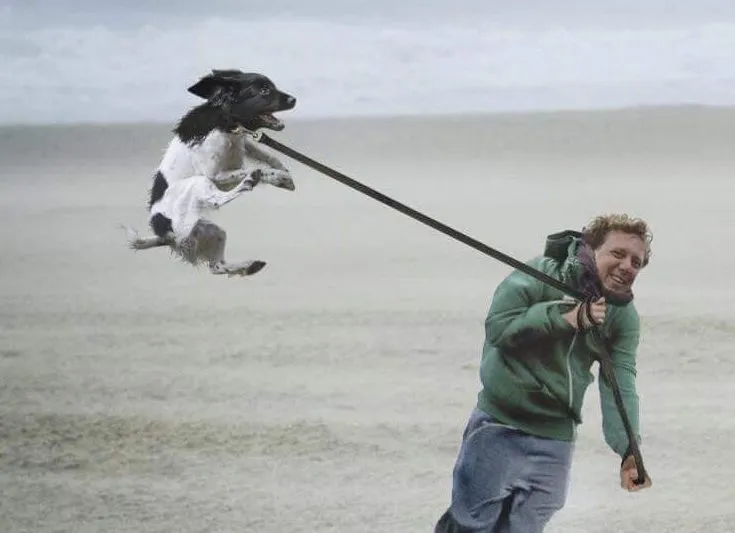 hond lucht e1581246821404