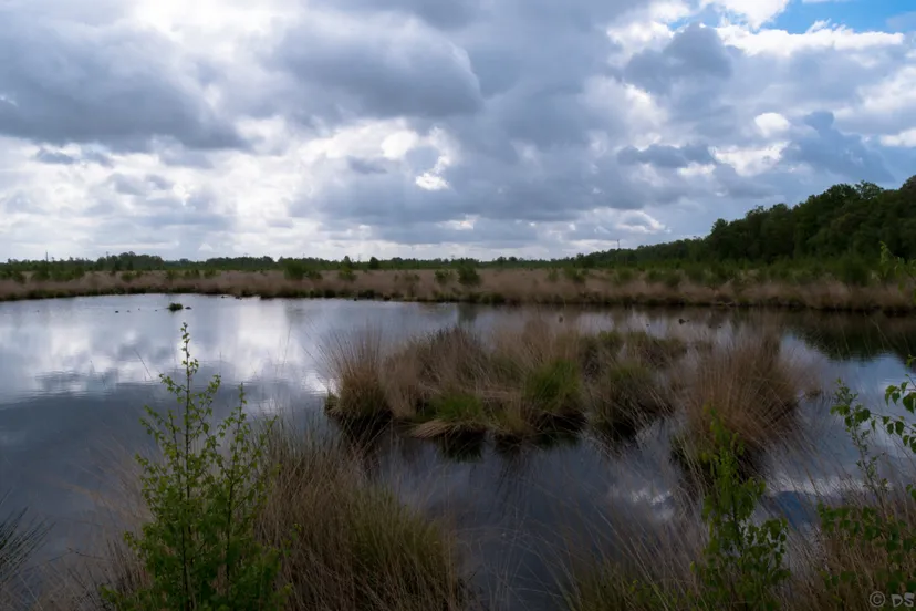 mariapeel 1 van 2 1030x687 1