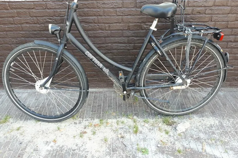 pol4