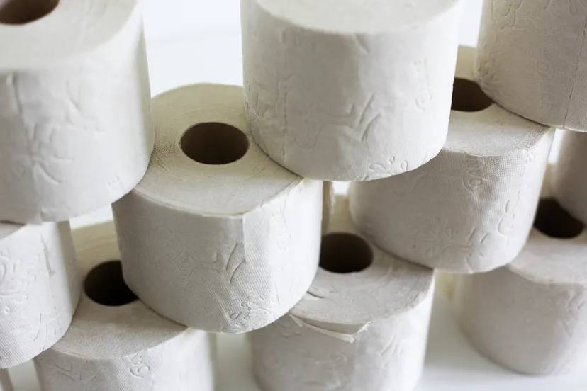 toilet paper g4160483a3 1920