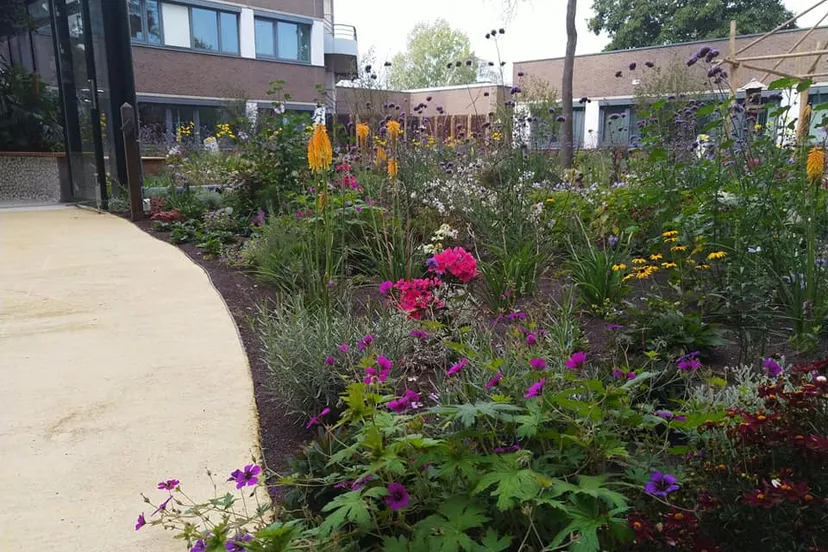 viecuri tuin
