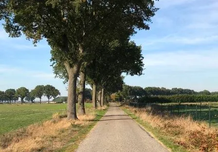 vossenberg 2018