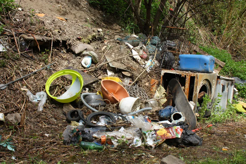 waste gfdb2e2d54 1920