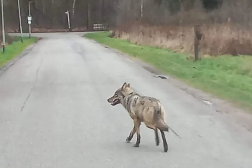 whatsapp image 2023 02 24 at 173944 1