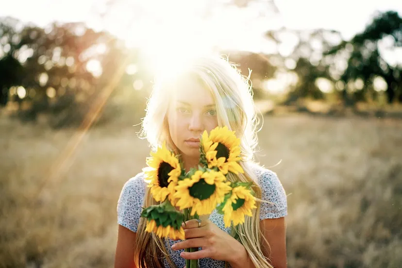 zon zonnebloemen