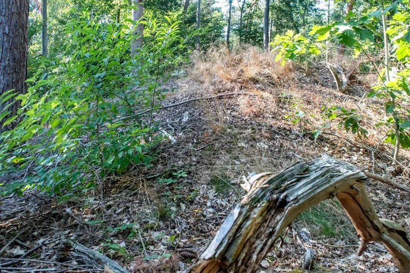 464178764 937998465026162 4152438467608538179 n