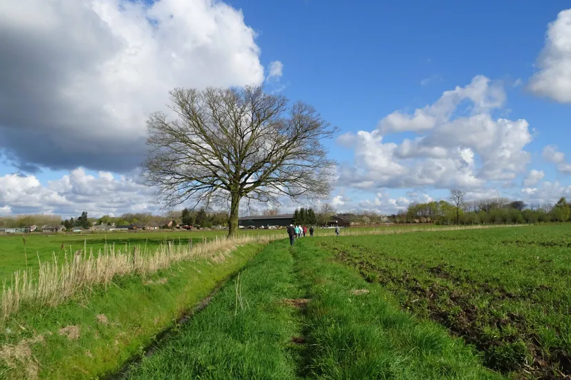 uitzicht aschbroek en winkel piet fleuren