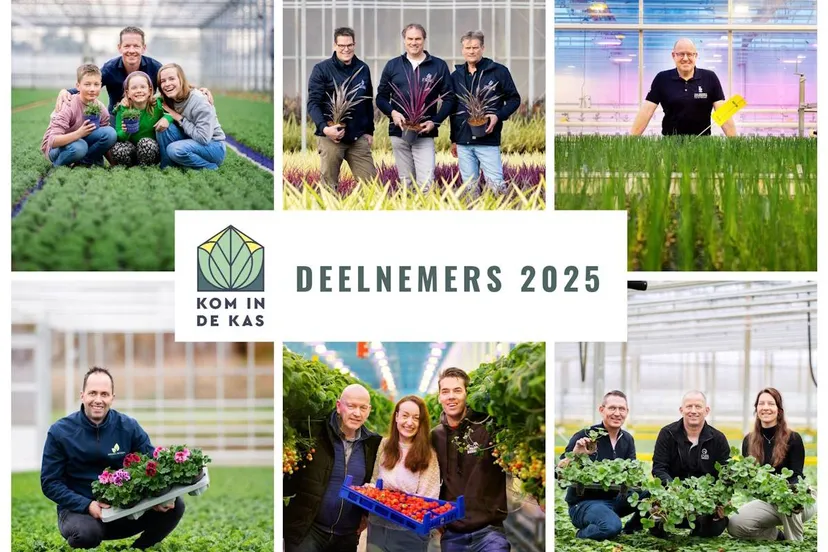 486646062 1052317660260908 345502487728358271 n