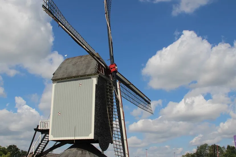 518220742_1136320765193930_2942970286882769289_n