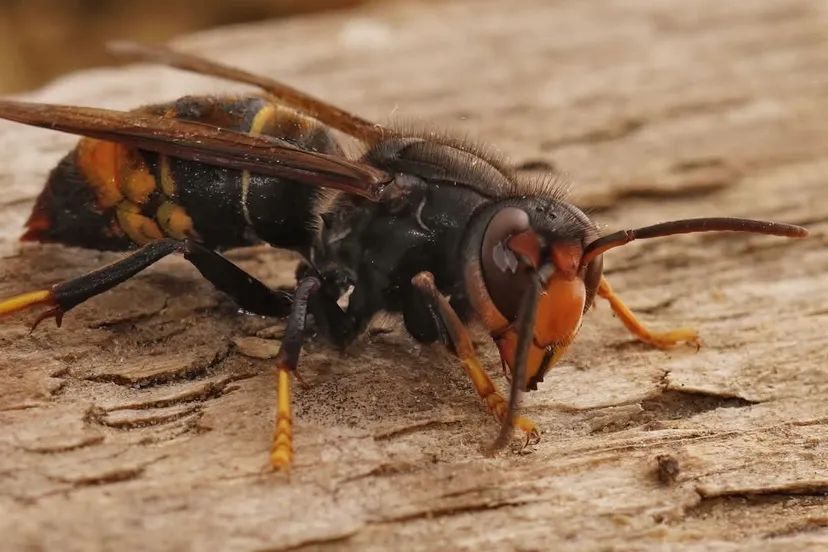 FB_IMG_1753088113877