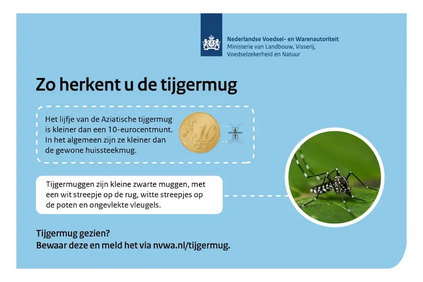 FB_IMG_1755899861779