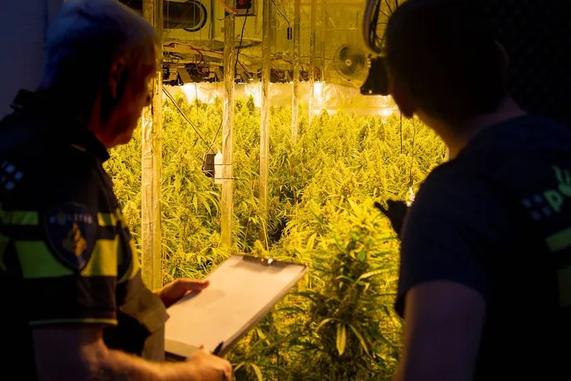 559344586_1219479606878045_8182529894430221208_n