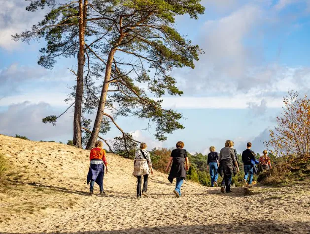 Schermafbeelding 2025-11-10 152406