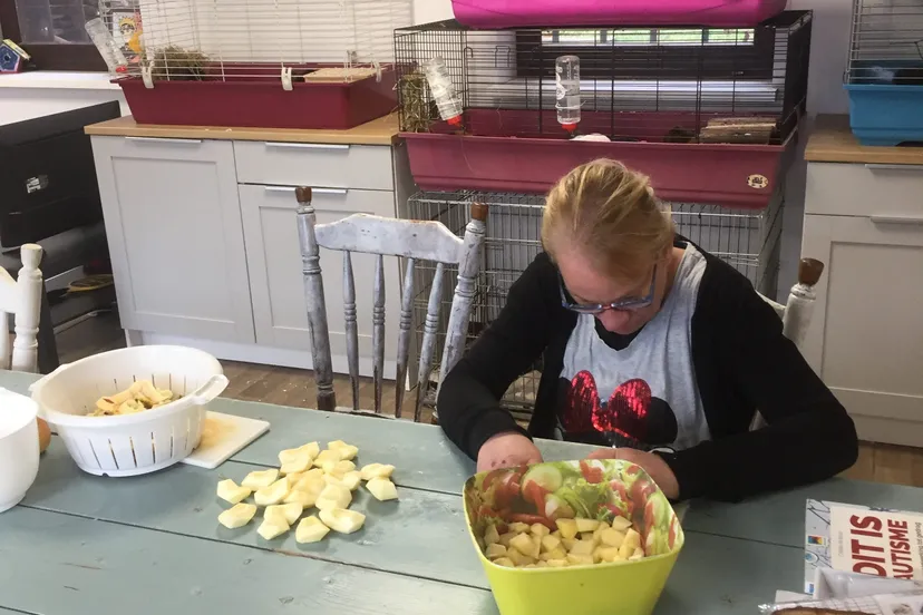 img 2330 e1556185643719