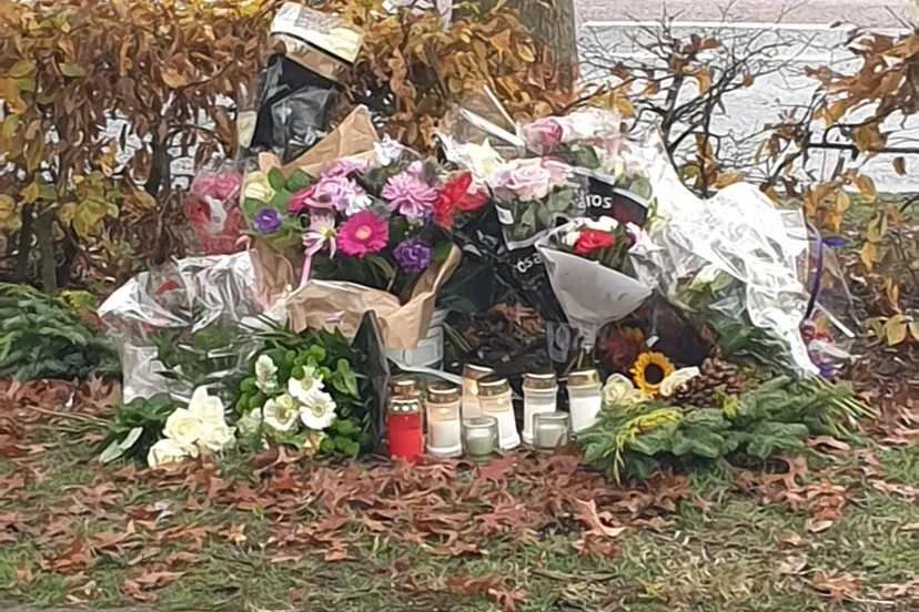 whatsapp image 2021 11 02 at 154551