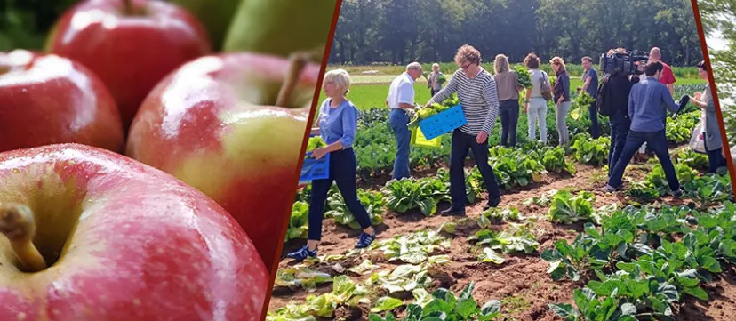 herenboeren ulingshof