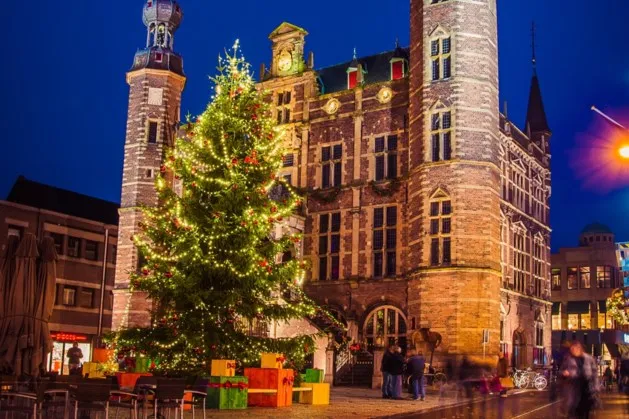 wensboom venlopartners