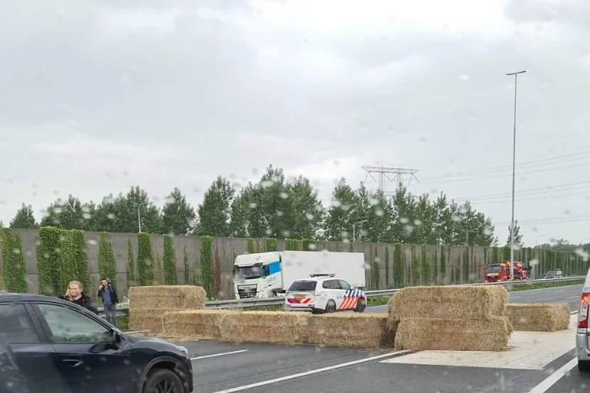 whatsapp image 2022 06 27 at 31203 pm e1656337738653