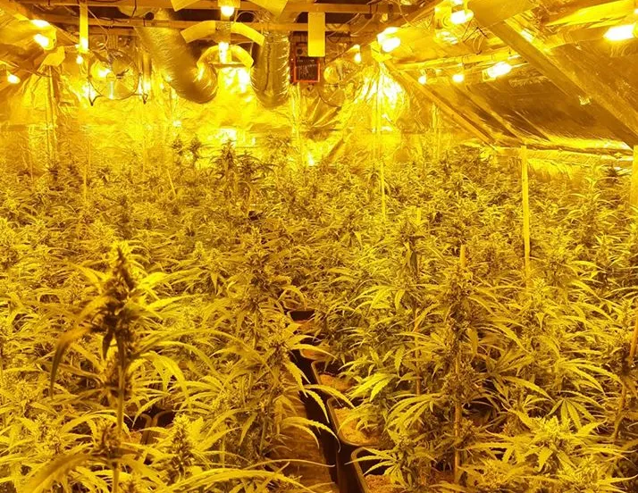 106603227 1552358984961143 6029169292042554687 o