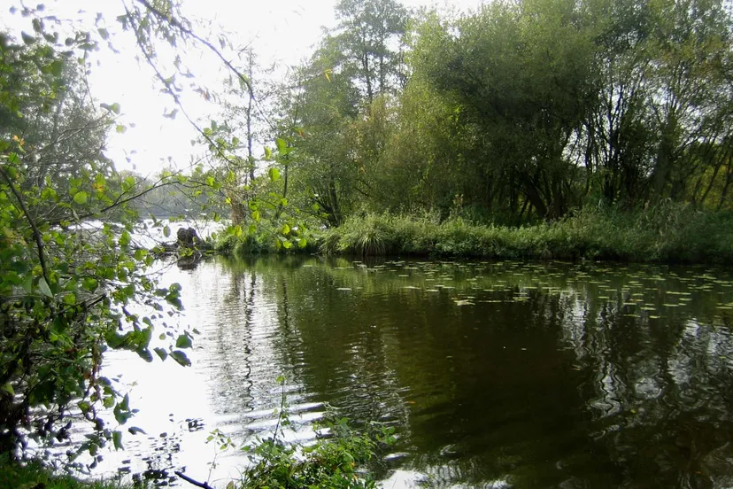 11 bezoek nette 2017