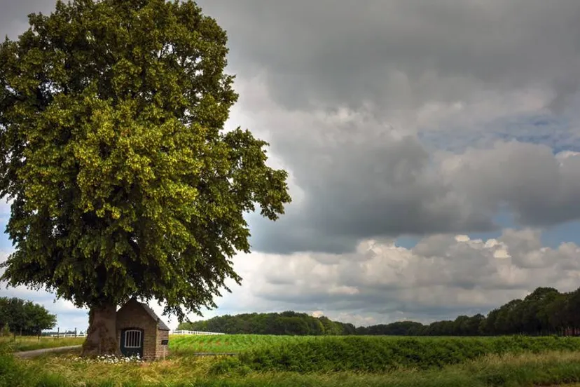 1110 erik hoesen barbara kapel 15 6 2019 0038 balanced in kleur