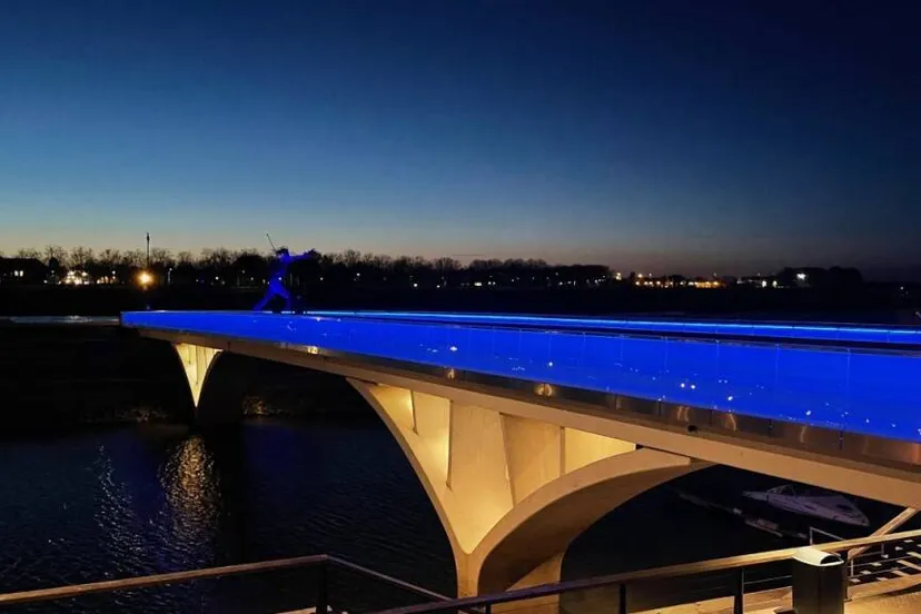 1171 week van autisme1