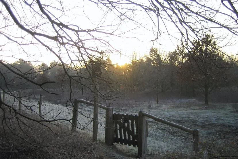 13 natuur bereidt zich voor op het komend jaar