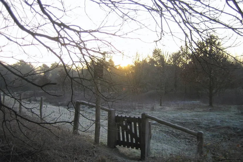 13 natuur bereidt zich voor op het komend jaar