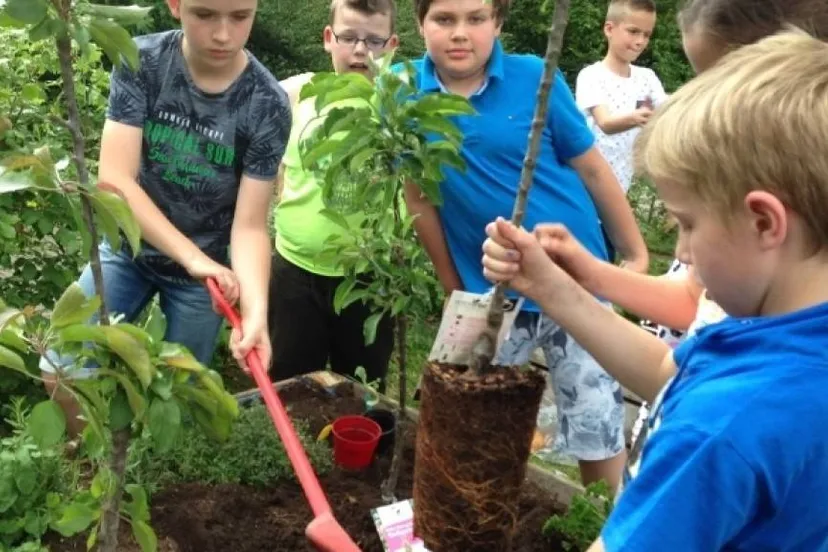 136 venloonline ons schooltuintje 1 nieuw nieuw