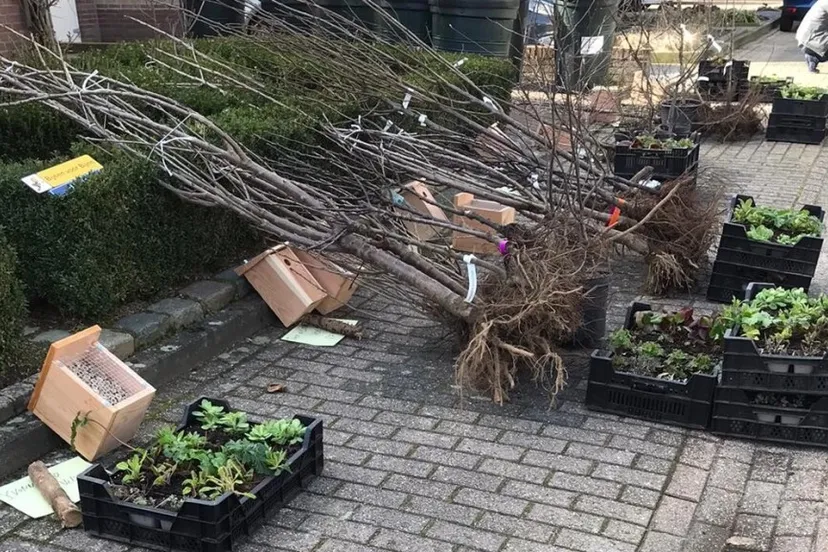 1518 bomen en plantjes