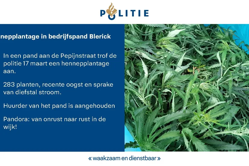 162178942 2585730054906448 7699454994451617650 o