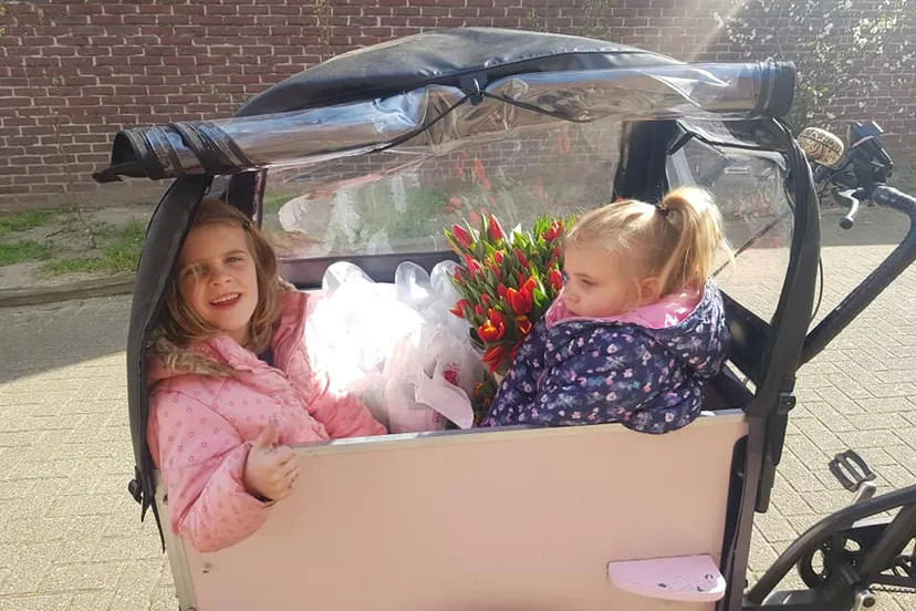 168839741 3809228529165274 622924412115334722 n