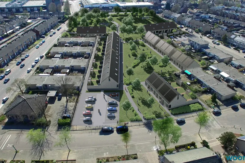 200422 ww groen ijsvog 01a