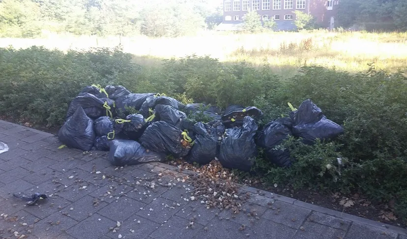 20157942 749236965273353 6174953113366800813 o