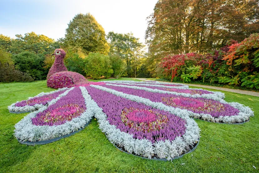 2018 10 kasteeltuinen herfstig 47