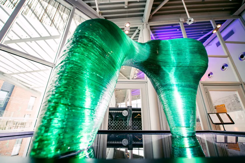 2021 08 sfynx 2 foto petra lenssen