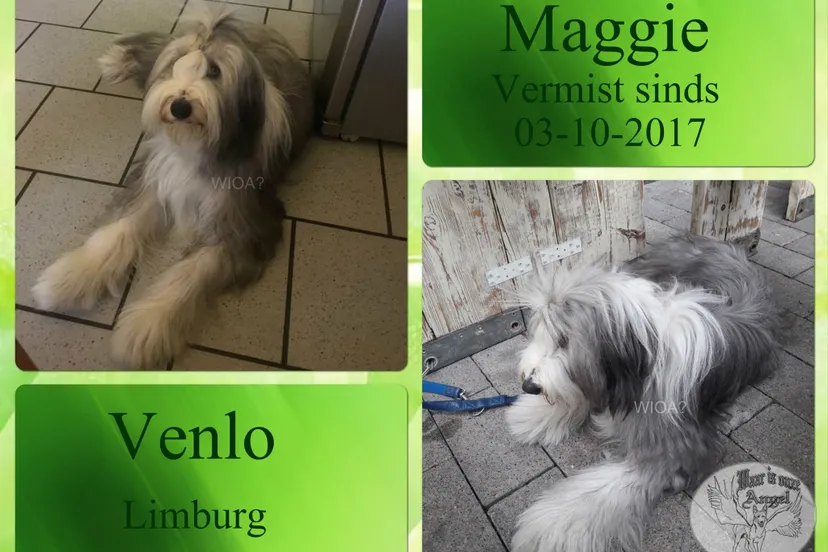 22256694 1480733898628695 269675631041136682 o