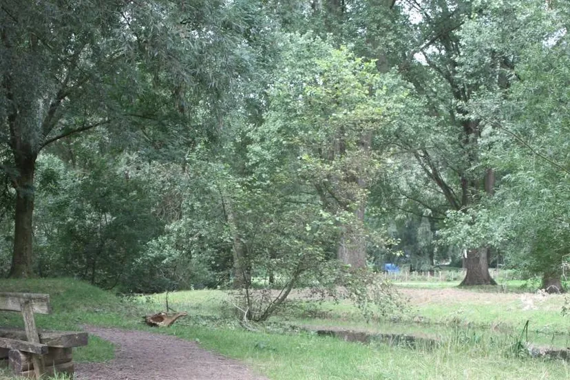 237 bomen venloonline