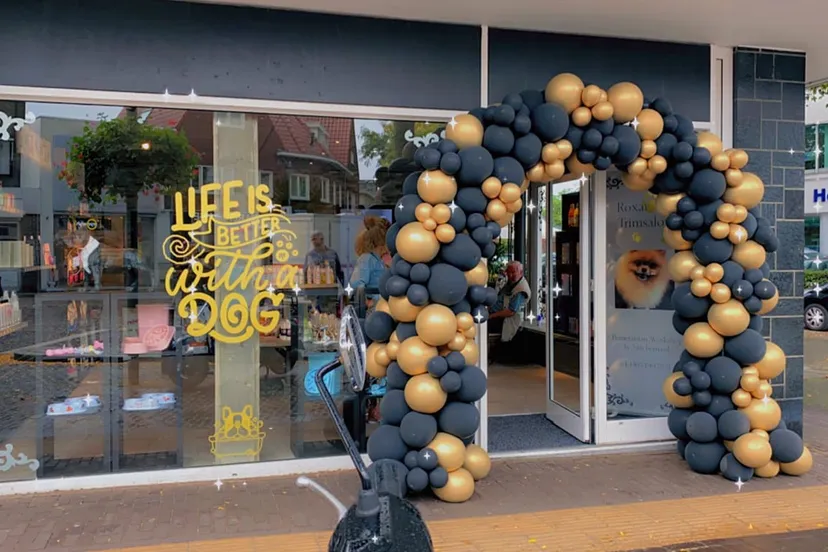 241771484 1007801773124087 6219005708511215172 n