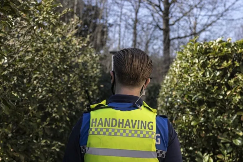 243259456 225980562893776 1906925560384102254 n