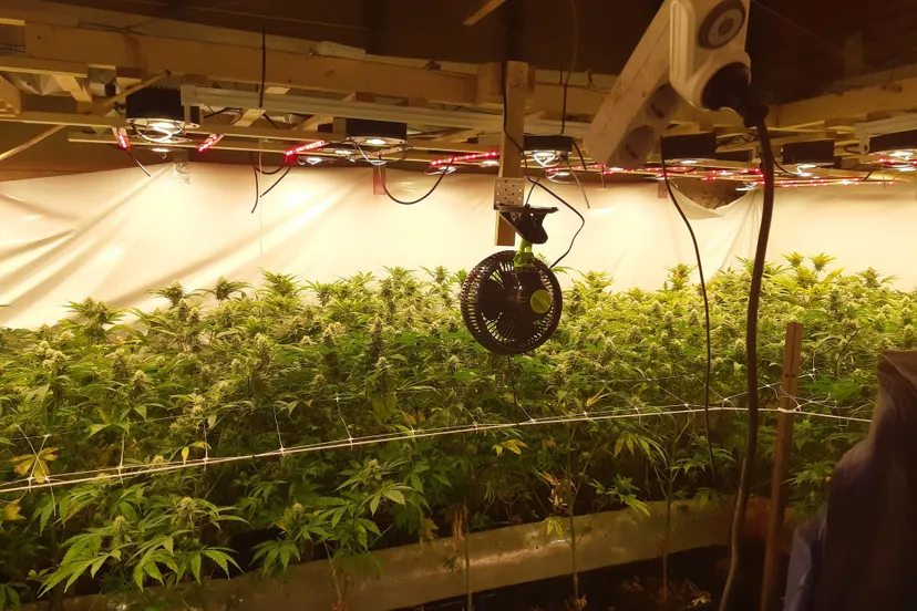 262400068 267601045404736 7046326057513844534 n